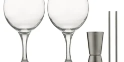 Barset voor gin cocktails 5-delig