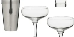 Barset voor martini cocktails 7-delig