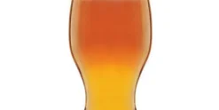 Bierglas 48 cl IPA