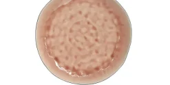 Bord 26,5 cm Laguna Azzuro Old Rose