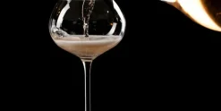 Champagne Coupe 27 cl Experts Collection