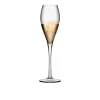 Champagne flute 22,5 cl Montecarlo