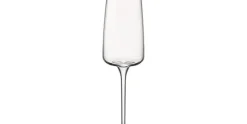 Champagneglas 24 cl Nexo