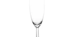 Champagneglas 15 cl set van 12 Ballon