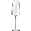 Champagneglas 21 cl Speakeasies Swing
