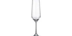 Champagneglas 20 cl Strix