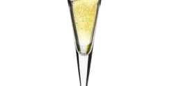 Champagne glas 16 cl Ypsilon