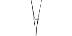 Champagne glas 16 cl Ypsilon