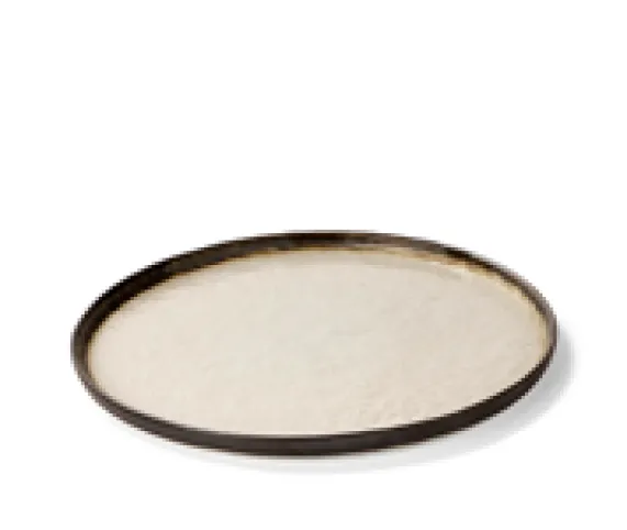 Dinerbord plat 27 cm Plato