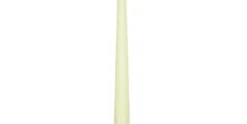 Dinerkaars Ivoor 24 cm - 50 stuks Cosy & Trendy