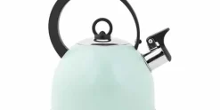 Fluitketel 1,7 L RVS met handvat Groen