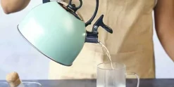 Fluitketel 1,7 L RVS met handvat Groen