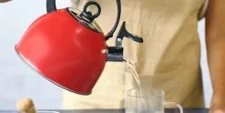 Fluitketel 1,7 L RVS met handvat Rood