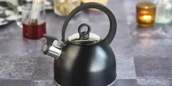 Fluitketel 1,7 L RVS met handvat Zwart