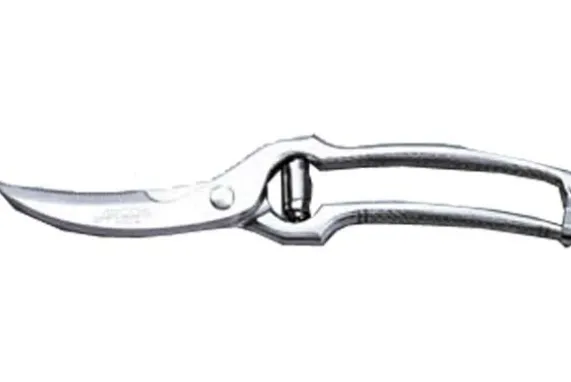 Gevogelteschaar 25 cm Arcos