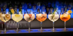 Gin tonic glazen 70 cl Cosy Moments set van 6