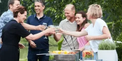 Houtskool Barbecue Loewy 50 RVS