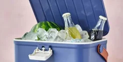 Koelbox Blauw Friss 5 liter