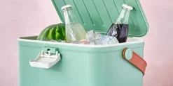 Koelbox Groen Friss 5 liter