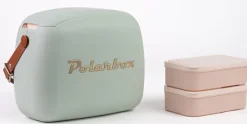 Koelbox met 2 boxen 6 L groen Coolerbag