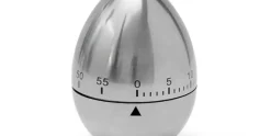 Kookwekker Eivormig Zilver