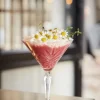 Martiniglas 21 cl Broadway