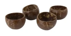 Schaal 35 - 50 cl Coconut Cosy & Trendy - Set van 4 stuks