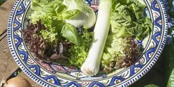 Serviesset 12 delig Poisson voor 4 personen