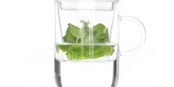 Theeglas met filter 470ml Borosilicate