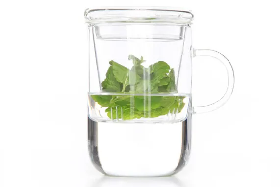 Theeglas met filter 470ml Borosilicate