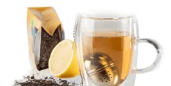 Thee infuser RVS