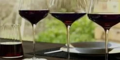Wijnglas 40 cl Symphony Stolzle