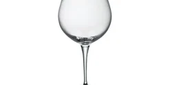 Wijnglas Premium 67,5 cl